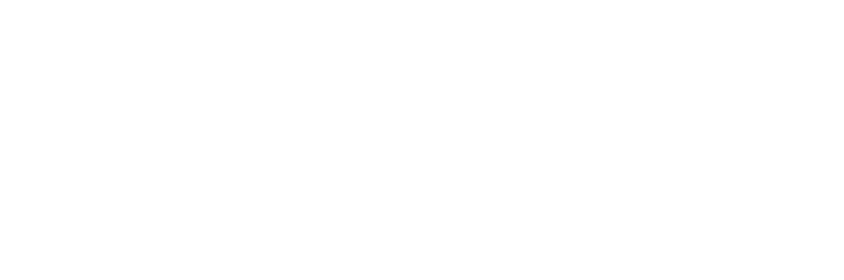 The Artificial Vision